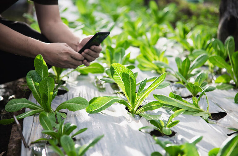 Como Criar um Calendário de Redes Sociais para Planejar Seu Conteúdo